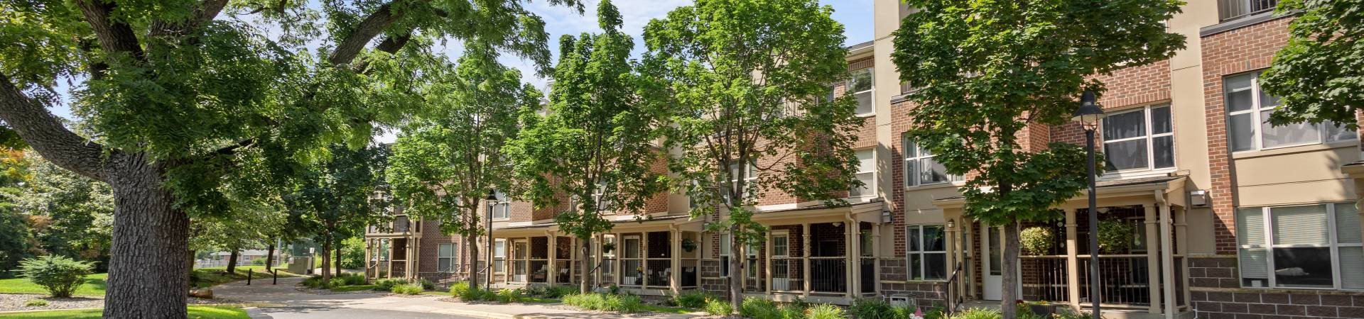 a row of trees in front of a building
